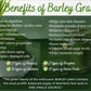 AMAZING PURE ORGANIC BARLEY POWDER DRINK